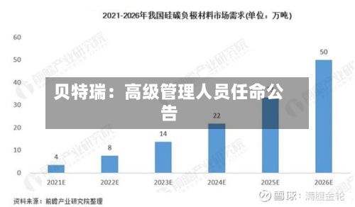 贝特瑞：高级管理人员任命公告-第1张图片
