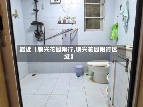 最近【鹏兴花园限行,鹏兴花园限行区域】-第3张图片