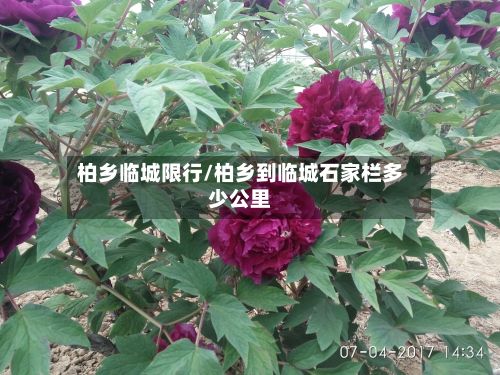 柏乡临城限行/柏乡到临城石家栏多少公里-第2张图片