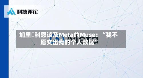 加里・科恩谈及Meta的Muse：“我不愿交出我的个人数据”