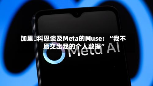 加里・科恩谈及Meta的Muse：“我不愿交出我的个人数据”-第2张图片