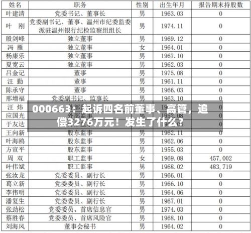000663：起诉四名前董事、高管，追偿3276万元！发生了什么？-第2张图片