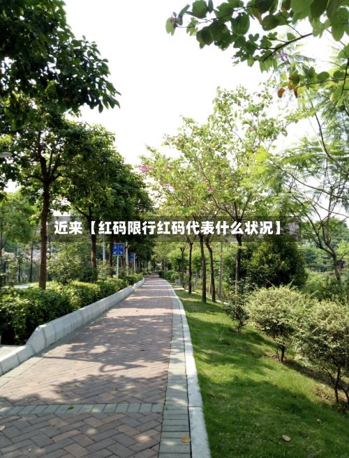 近来【红码限行红码代表什么状况】-第2张图片