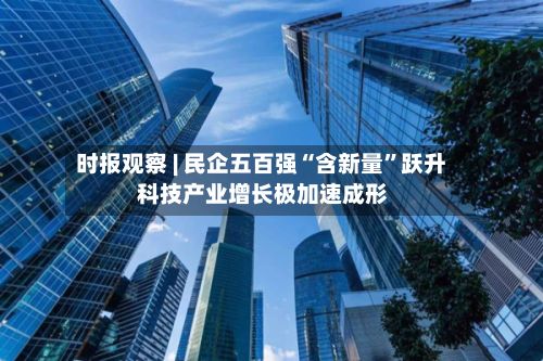 时报观察 | 民企五百强“含新量”跃升 科技产业增长极加速成形
