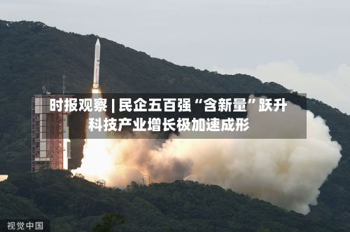 时报观察 | 民企五百强“含新量”跃升 科技产业增长极加速成形-第2张图片