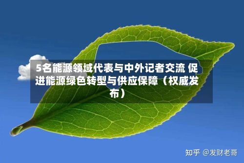 5名能源领域代表与中外记者交流 促进能源绿色转型与供应保障（权威发布）