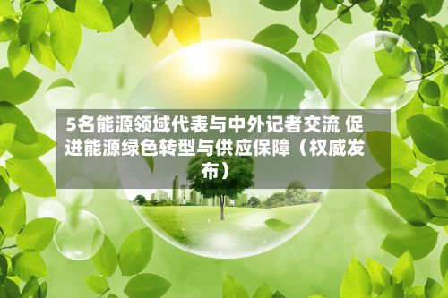 5名能源领域代表与中外记者交流 促进能源绿色转型与供应保障(权威发布)-第3张图片