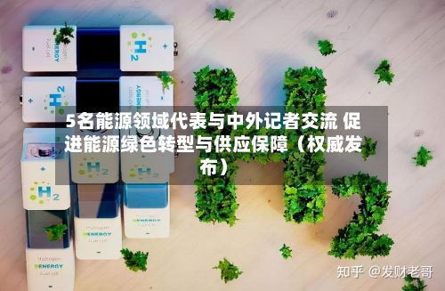 5名能源领域代表与中外记者交流 促进能源绿色转型与供应保障(权威发布)-第2张图片