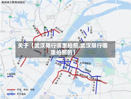 关于【武汉限行哪里拍照,武汉限行哪里拍照的】-第2张图片