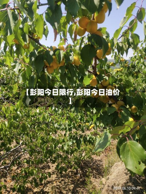 【彭阳今日限行,彭阳今日油价】