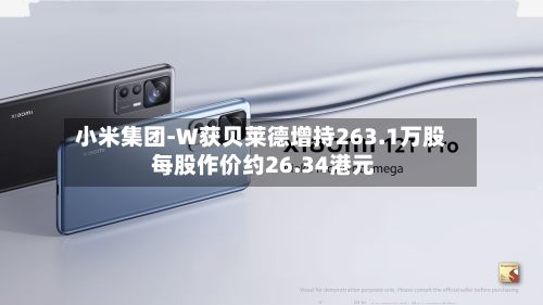 小米集团-W获贝莱德增持263.1万股 每股作价约26.34港元-第1张图片
