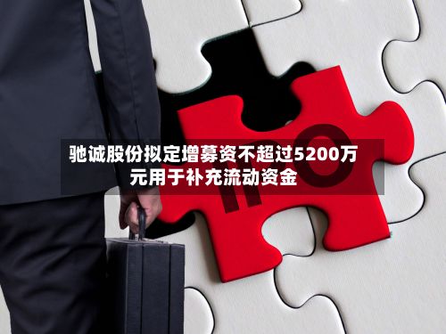 驰诚股份拟定增募资不超过5200万元用于补充流动资金-第2张图片