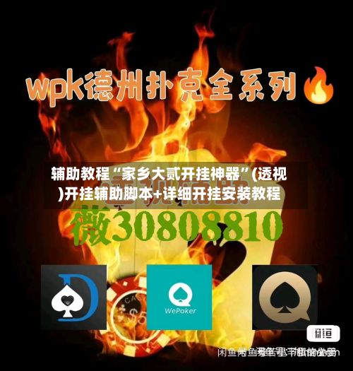 辅助教程“家乡大贰开挂神器	”(透视)开挂辅助脚本+详细开挂安装教程-第2张图片