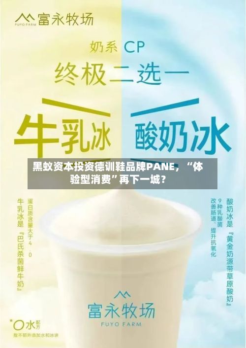 黑蚁资本投资德训鞋品牌PANE，“体验型消费”再下一城？