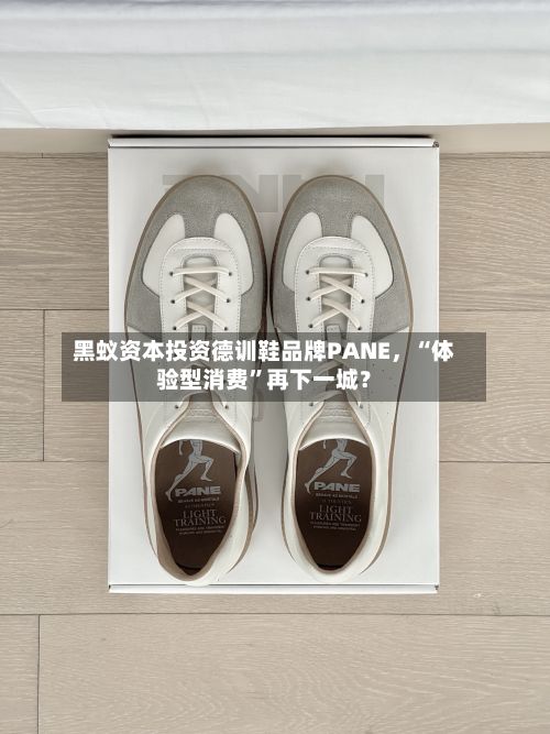 黑蚁资本投资德训鞋品牌PANE，“体验型消费”再下一城？-第2张图片