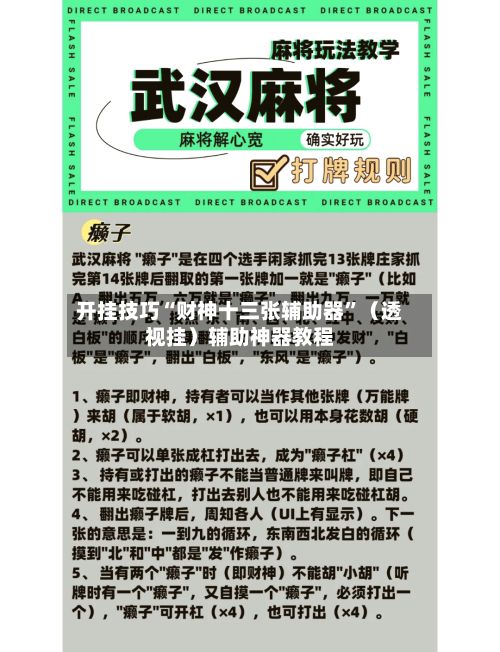 开挂技巧“财神十三张辅助器	”（透视挂）辅助神器教程-第2张图片