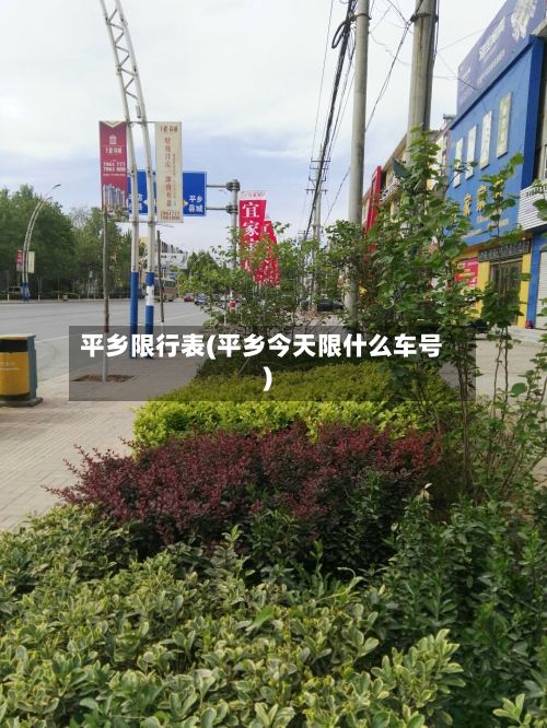 平乡限行表(平乡今天限什么车号)