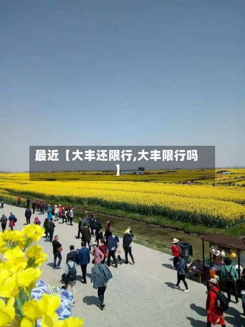 最近【大丰还限行,大丰限行吗】