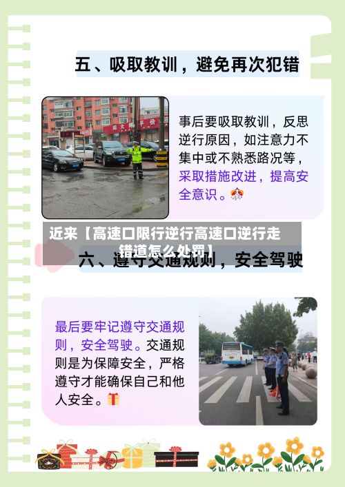 近来【高速口限行逆行高速口逆行走错道怎么处罚】-第3张图片