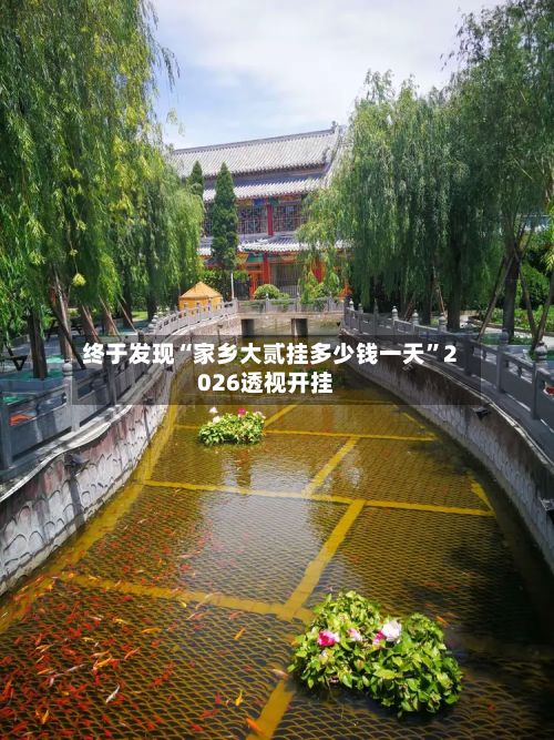 终于发现“家乡大贰挂多少钱一天”2026透视开挂-第3张图片
