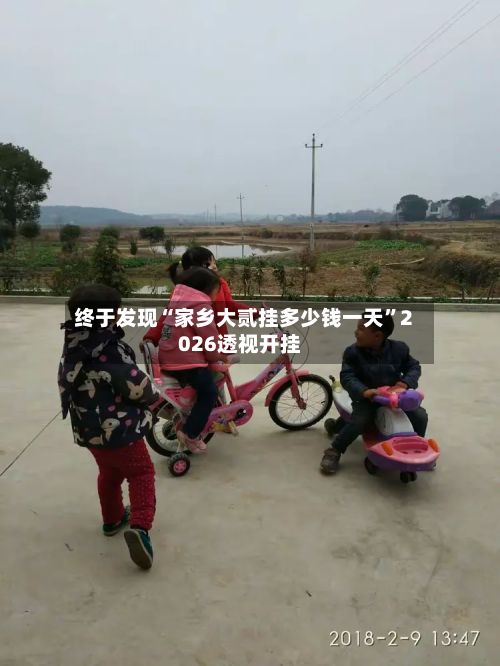 终于发现“家乡大贰挂多少钱一天”2026透视开挂-第2张图片