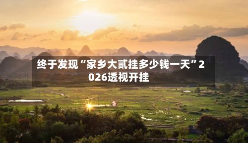 终于发现“家乡大贰挂多少钱一天”2026透视开挂