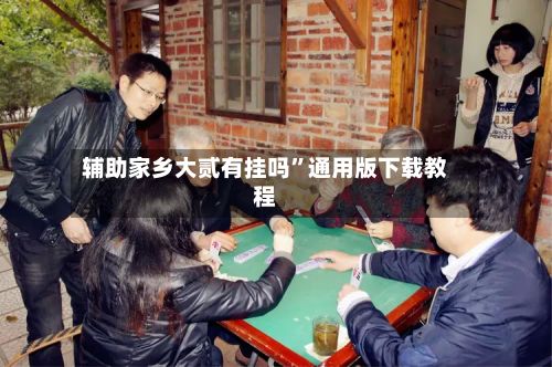 辅助家乡大贰有挂吗”通用版下载教程