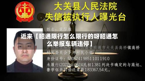 近来【昭通限行怎么限行的呀昭通怎么举报车辆违停】-第3张图片