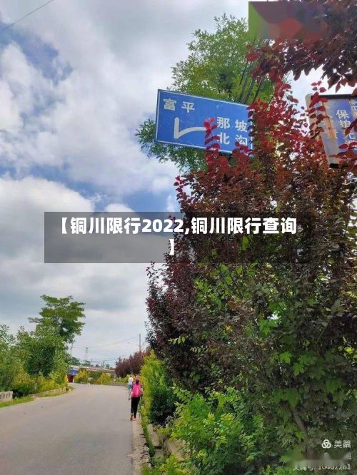 【铜川限行2022,铜川限行查询】