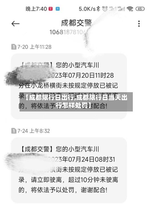 【成都限行日出行,成都限行日当天出行怎样处罚】-第3张图片