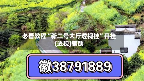 必看教程“新二号大厅透视挂”开挂(透视)辅助-第2张图片