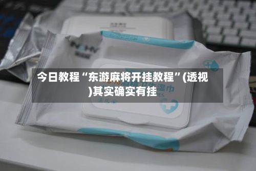 今日教程“东游麻将开挂教程	”(透视)其实确实有挂-第3张图片