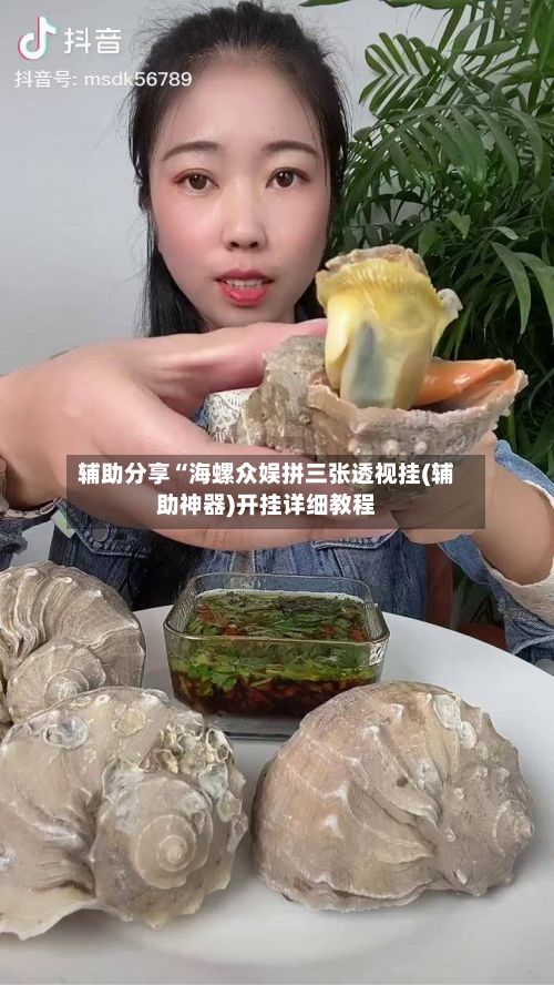 辅助分享“海螺众娱拼三张透视挂(辅助神器)开挂详细教程