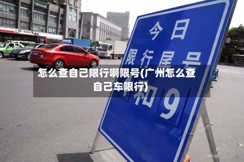 怎么查自己限行啊限号(广州怎么查自己车限行)