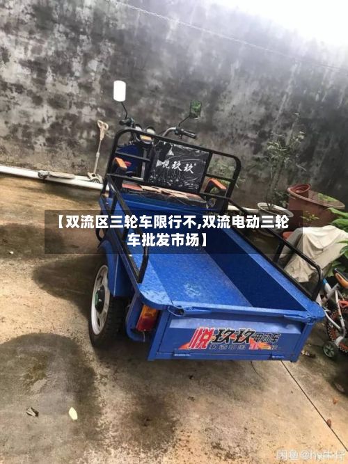 【双流区三轮车限行不,双流电动三轮车批发市场】