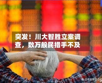 突发！川大智胜立案调查，数万股民措手不及-第3张图片