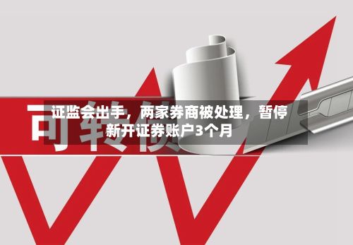 证监会出手，两家券商被处理，暂停新开证券账户3个月