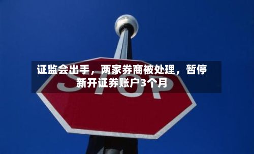 证监会出手，两家券商被处理	，暂停新开证券账户3个月-第2张图片
