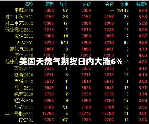 美国天然气期货日内大涨6%