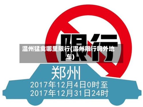 温州猛禽哪里限行(温州限行吗外地车)