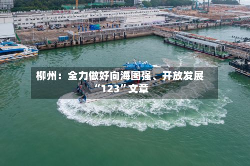 柳州：全力做好向海图强、开放发展“123”文章-第2张图片