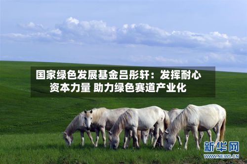 国家绿色发展基金吕彤轩：发挥耐心资本力量 助力绿色赛道产业化