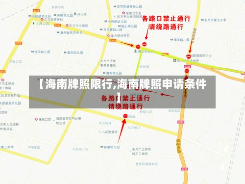 【海南牌照限行,海南牌照申请条件】-第2张图片