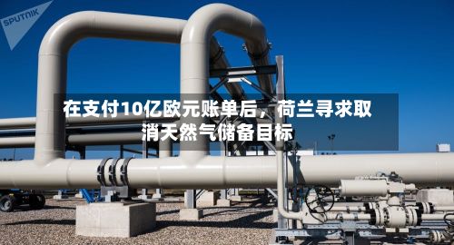 在支付10亿欧元账单后，荷兰寻求取消天然气储备目标-第3张图片