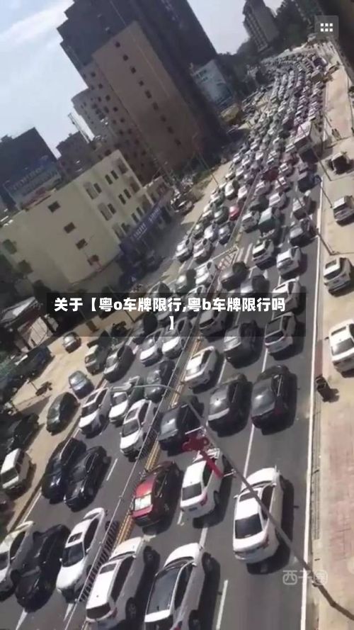 关于【粤o车牌限行,粤b车牌限行吗】-第2张图片