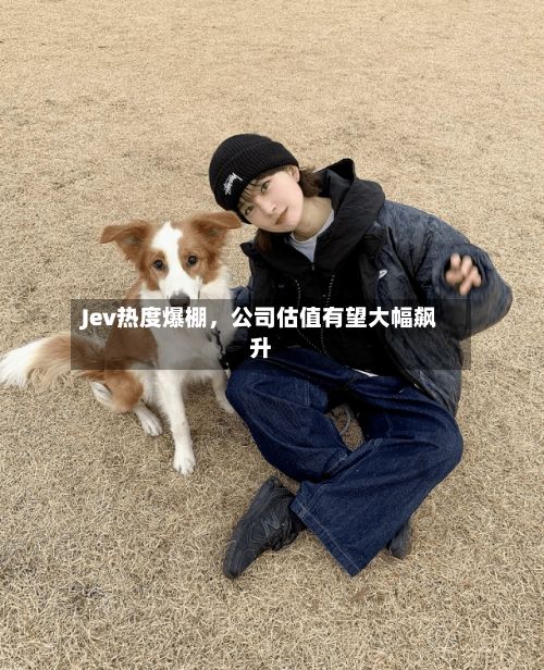 Jev热度爆棚，公司估值有望大幅飙升-第1张图片