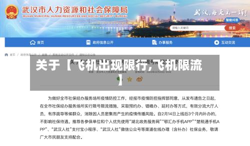 关于【飞机出现限行,飞机限流】-第3张图片
