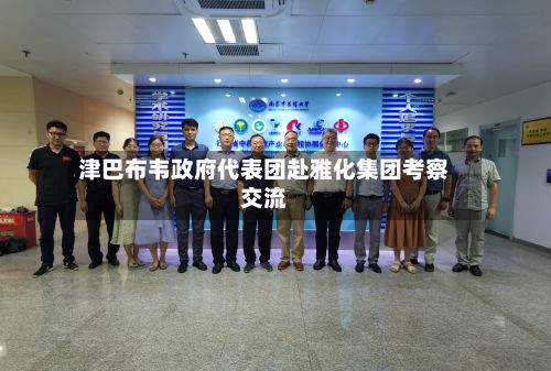 津巴布韦政府代表团赴雅化集团考察交流-第3张图片
