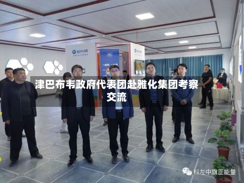 津巴布韦政府代表团赴雅化集团考察交流-第2张图片
