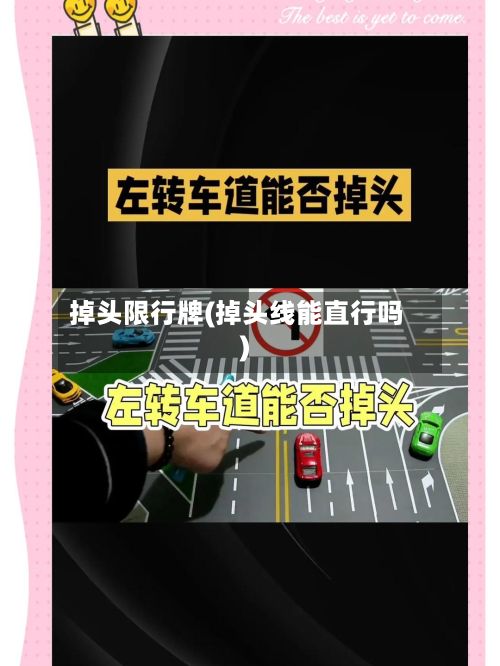 掉头限行牌(掉头线能直行吗)